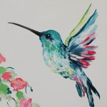 színes kolibri madár
