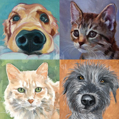 kutya és macska portrék
