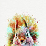 a kép tartalma: szímes mókus portré
