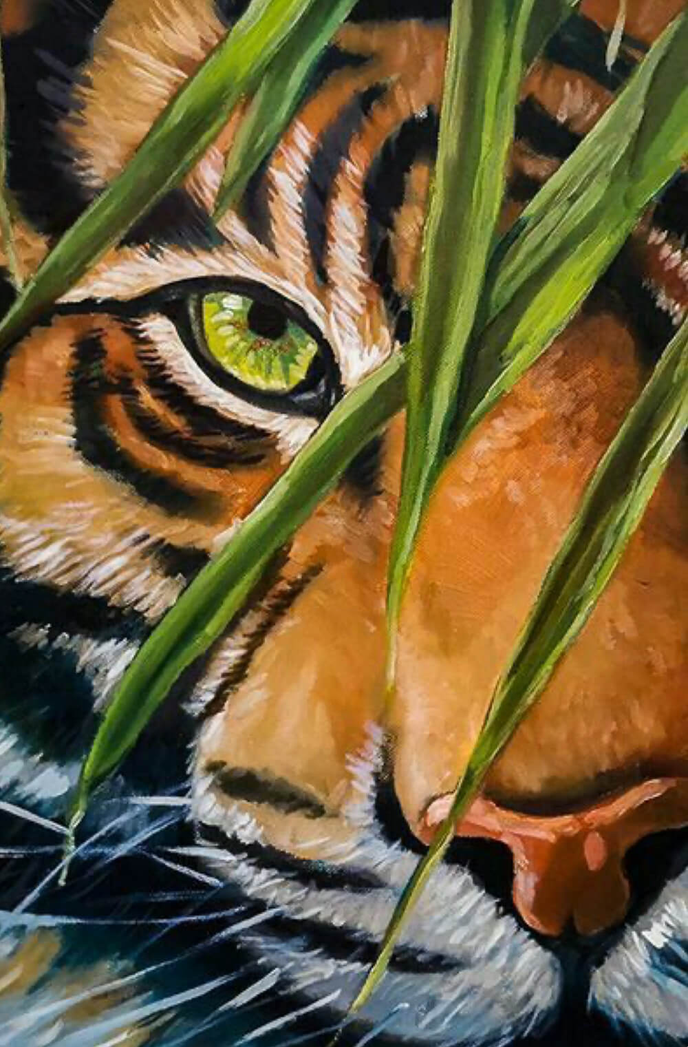 tigris-szeme